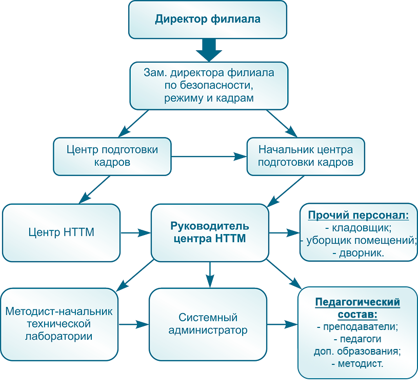 Структура ЦНТТМ